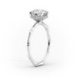 The Eve Set With A 4 Carat Radiant Moissanite For Sale